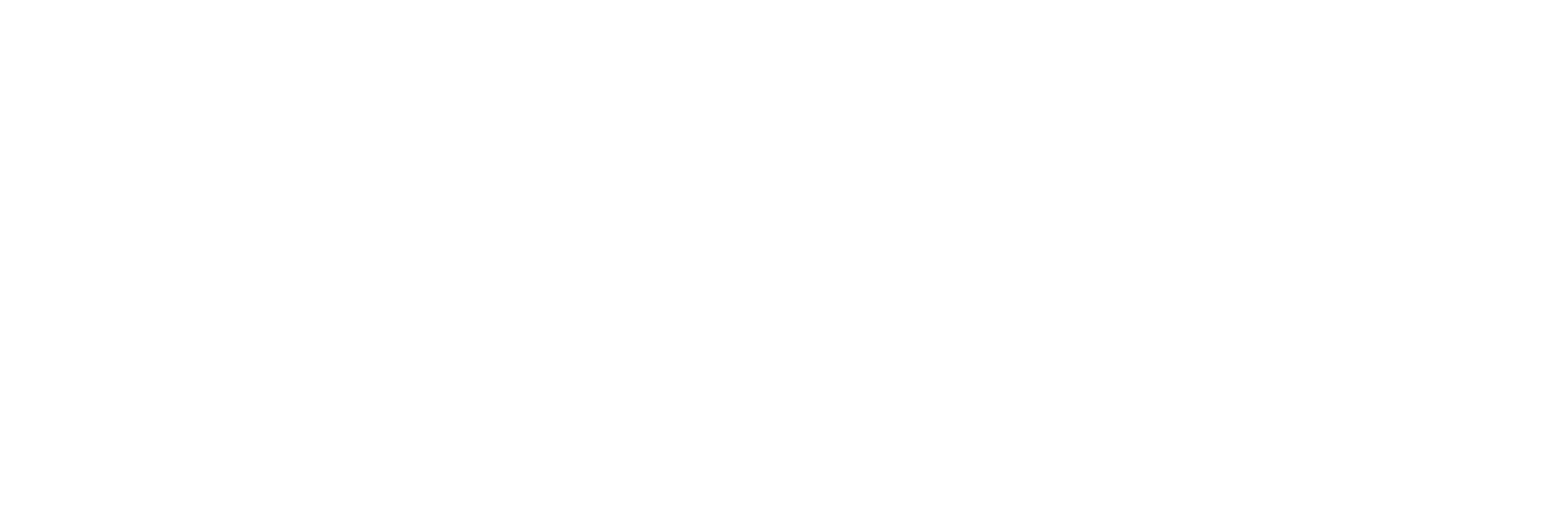 SolflexTech Logo Blanco